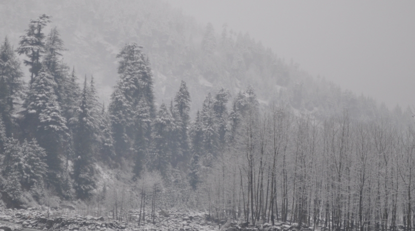 weather in Manali weather in Manali