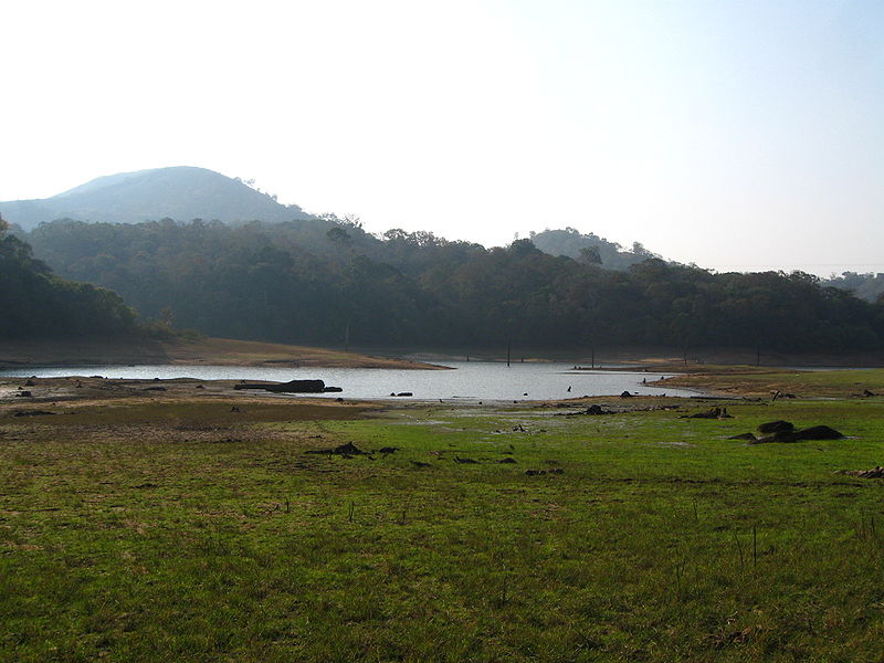 Thekkady Thekkady