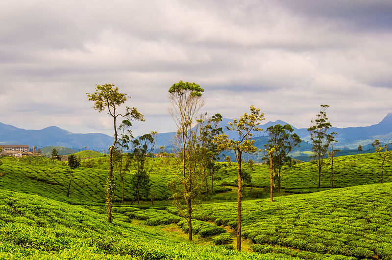 valparai