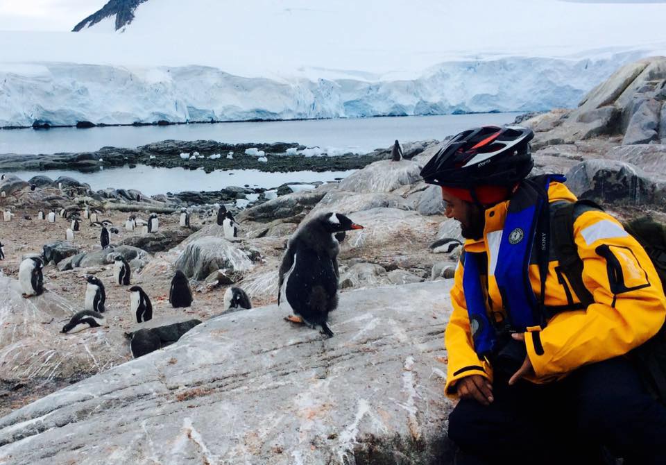 somen-antartica