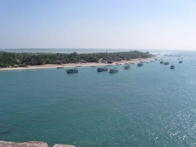 Gulf of mannar