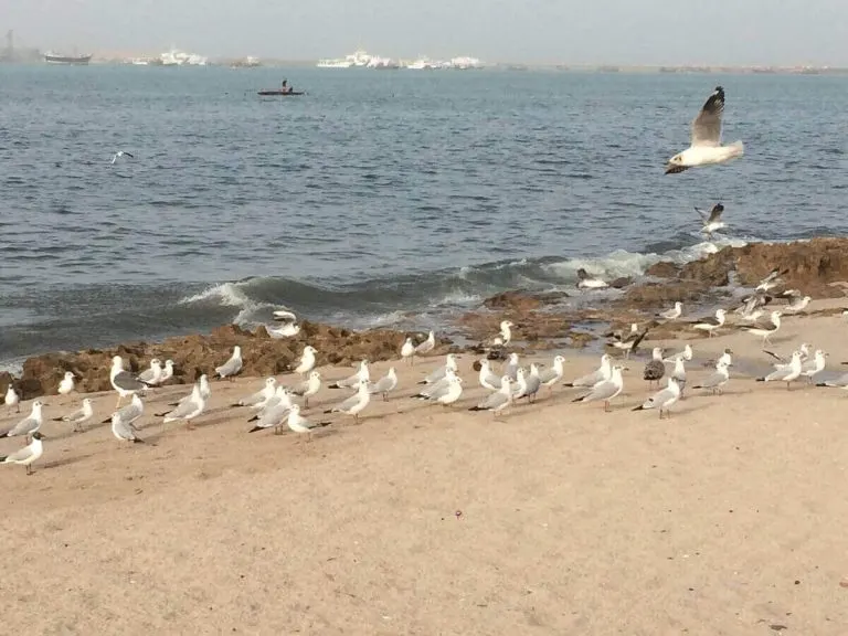 Porbandar