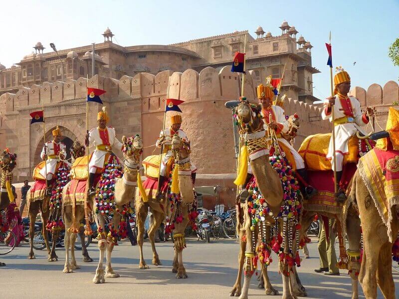 Camel-Festival-Bikaner-Rajasthan Camel-Festival-Bikaner-Rajasthan