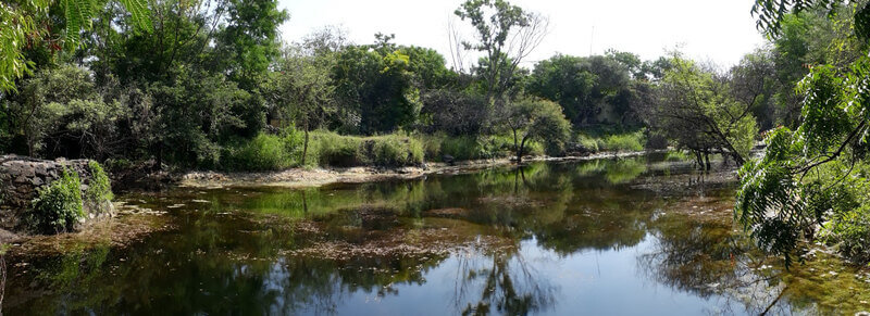 Hingolgadh-Nature-Education-Sanctuary Hingolgadh Nature Education Sanctuary