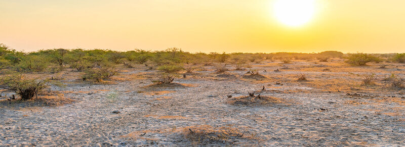 Kutch-Desert-Sanctuary Kutch Desert Wildlife Sanctuary, Bhuj