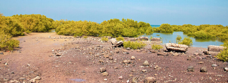 Marine-National-Park Marine National Park