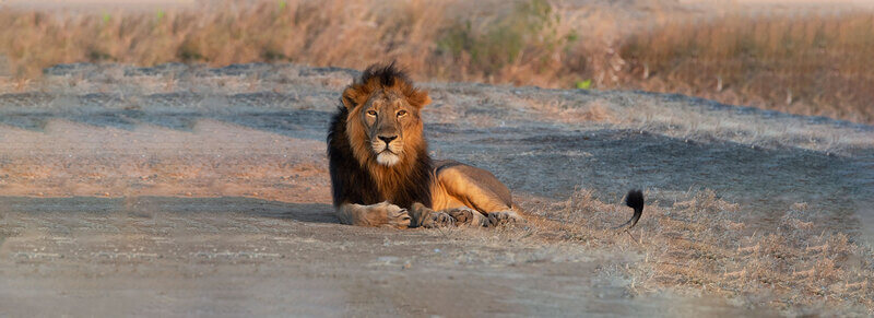 Mitiyala-Wildlife-Sanctuary Mitiyala Wildlife Sanctuary