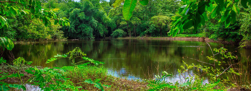 Purna-Wildlife-Sanctuary Purna Wildlife Sanctuary
