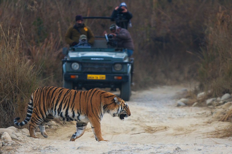 Jim Corbett National Park