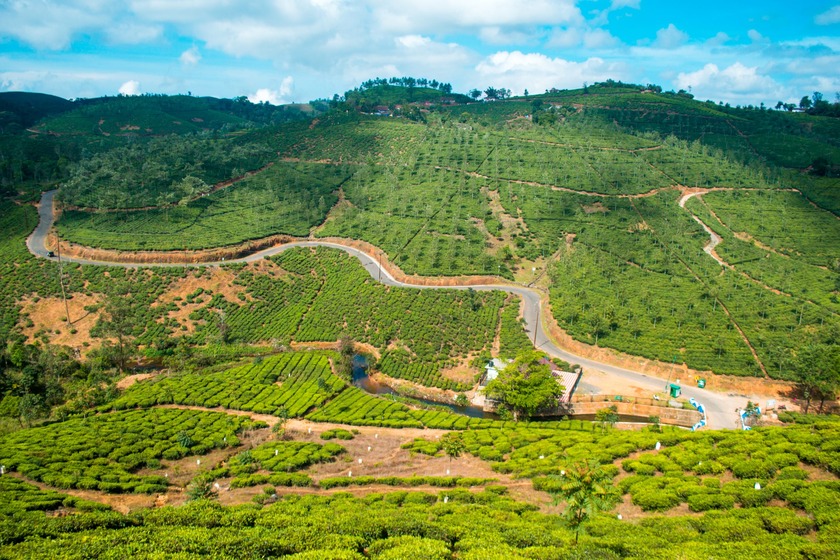 Vagamon - One of the Smallest Hill Stations in Kerala
