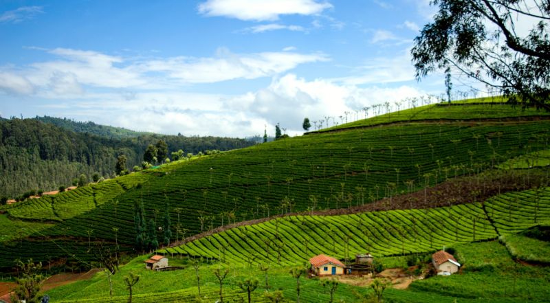 Coonoor - Most Popular Hill Station in Nilgiris