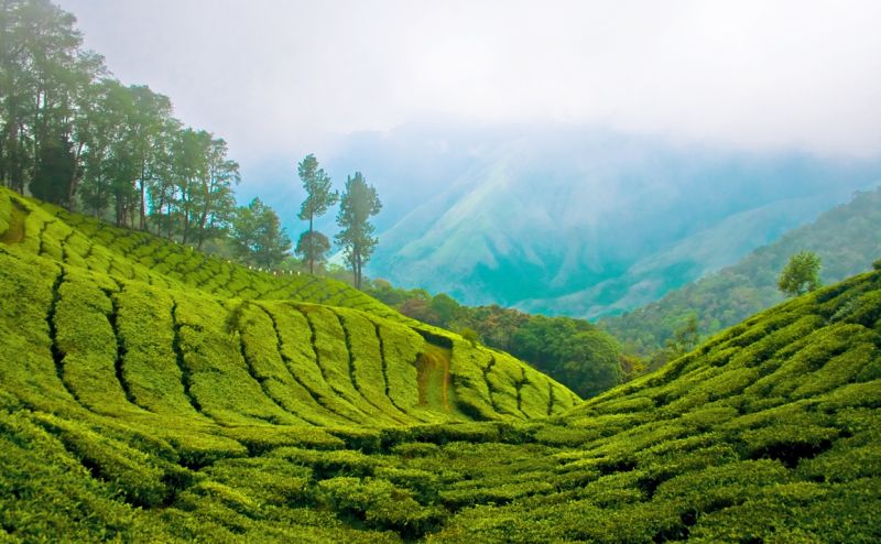Munnar Hill Station