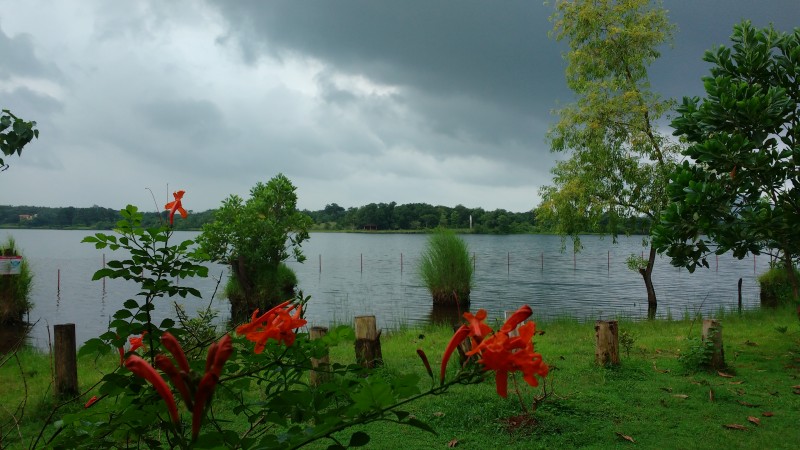 Kolad
