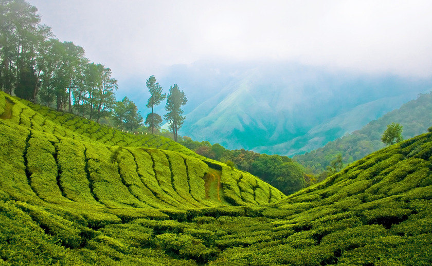 Munnar Hill Station Munnar hill station