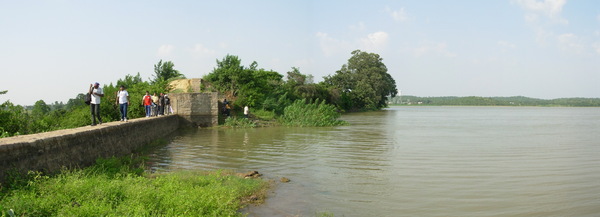 Narsapur Forest