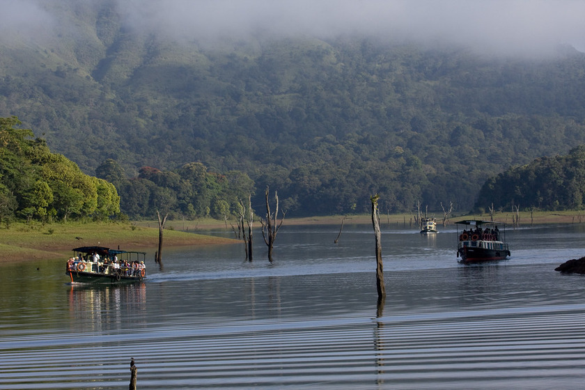 Thekkady Thekkady
