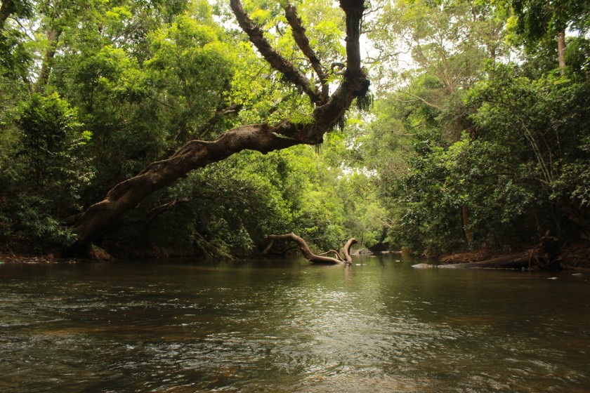 Nisargadhama Nisargadhama in Coorg
