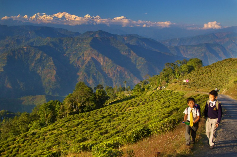Darjeeling