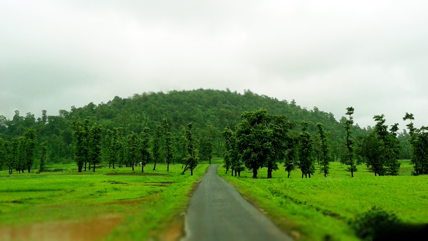 Wilson Hills