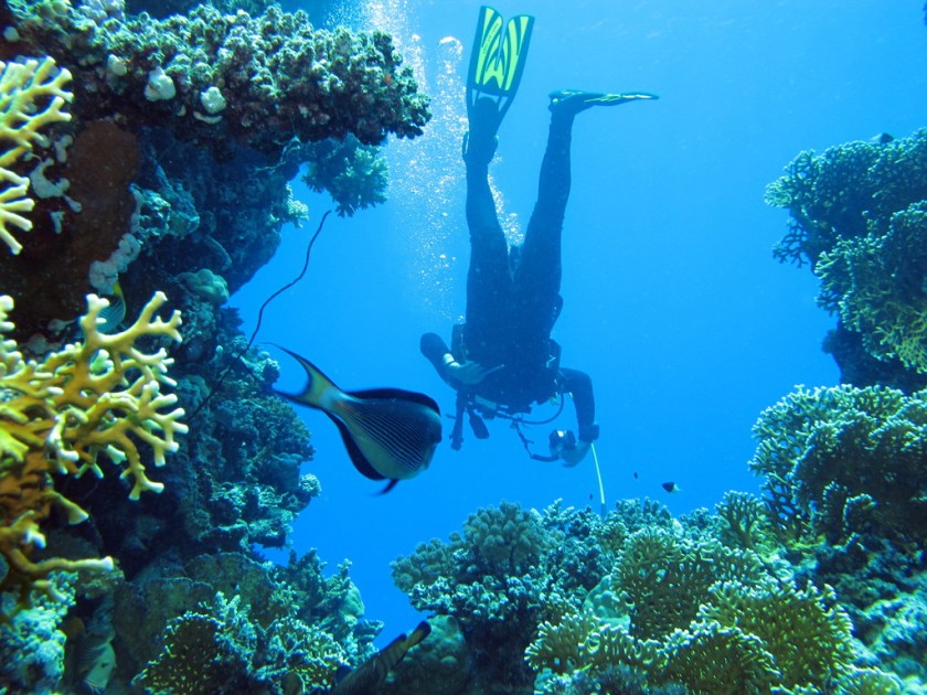 Underwater Sports, Goa Underwater Sports, Goa