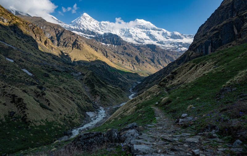 Chamoli