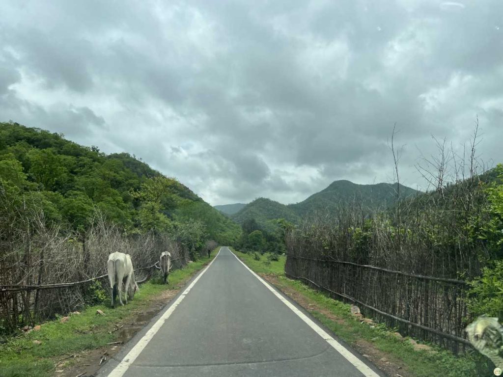 Phulwari Ki Nal Wildlife Sanctuary Phulwari Ki Nal Wildlife Sanctuary