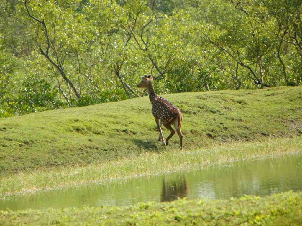 Aanamalai Tiger Reserve Aanamalai Tiger Reserve (Tamil Nadu)