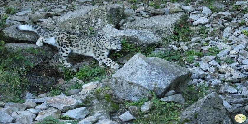 Guindy National Park Guindy National Park (Tamil Nadu)