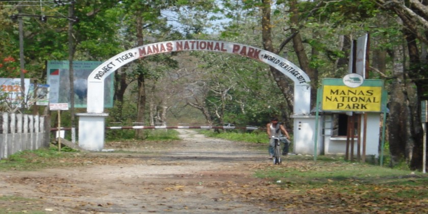 Manas_National_Park manas-national-park
