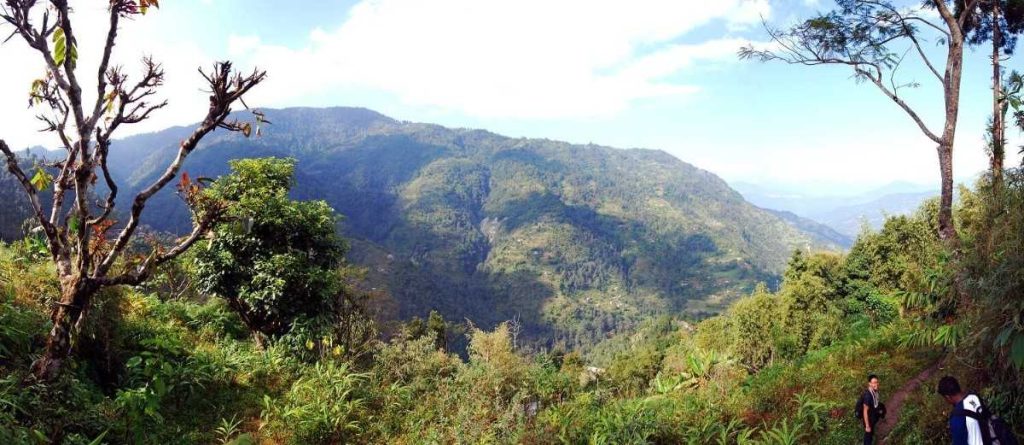 Mrugavani National Park Mrugavani National Park (Telangana)