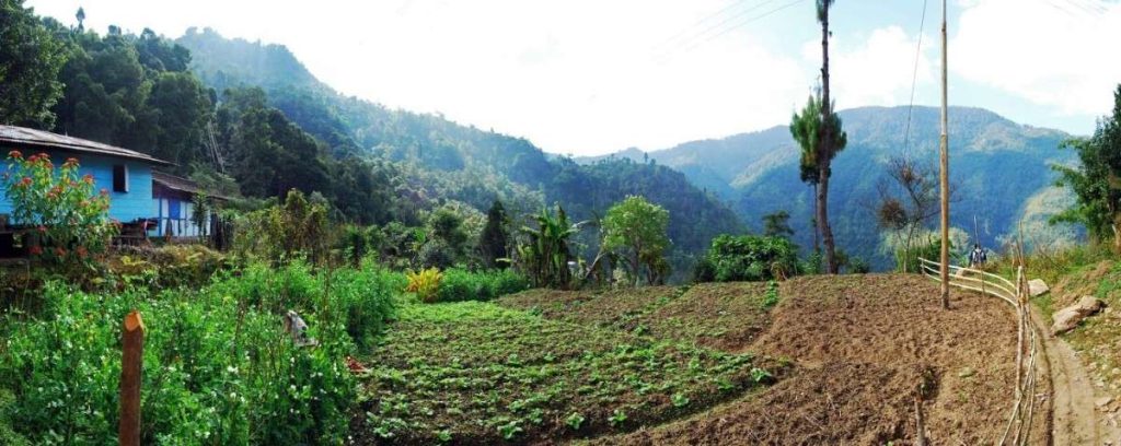 Neora_Valley_Darjeeling_212 Neora Valley National Park (West Bengal)