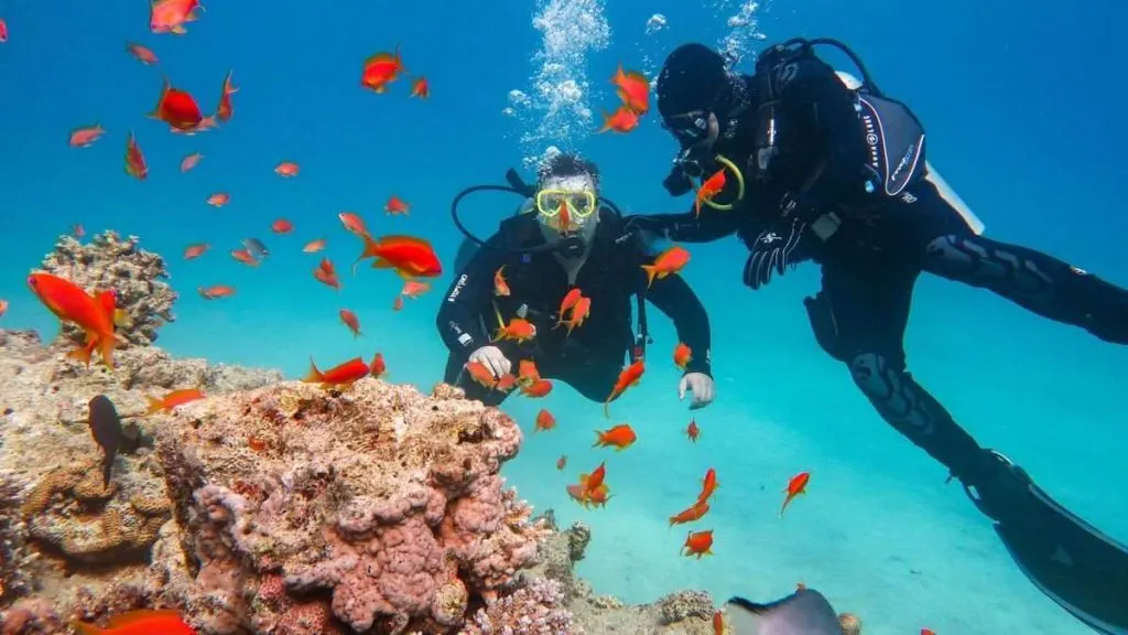 Places-for-Scuba-Diving-In-India-for-Beginner