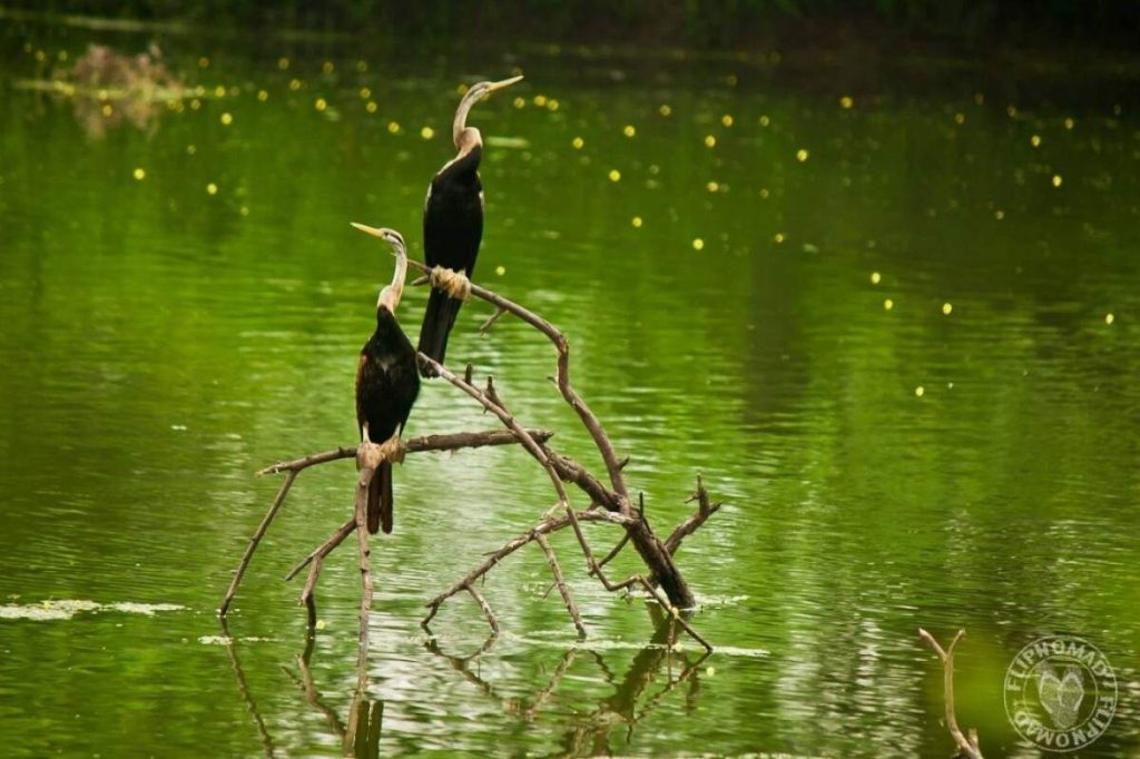 Rani Jhansi Marine National Park Rani Jhansi Marine National Park (Andaman & Nicobar Islands)