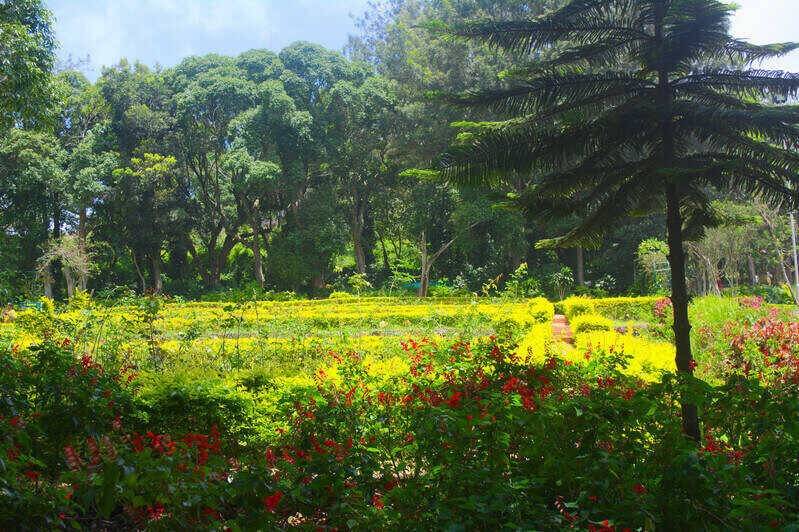 Rose-Garden-in-Yercaud Silk Farm & Rose Garden in Yercaud