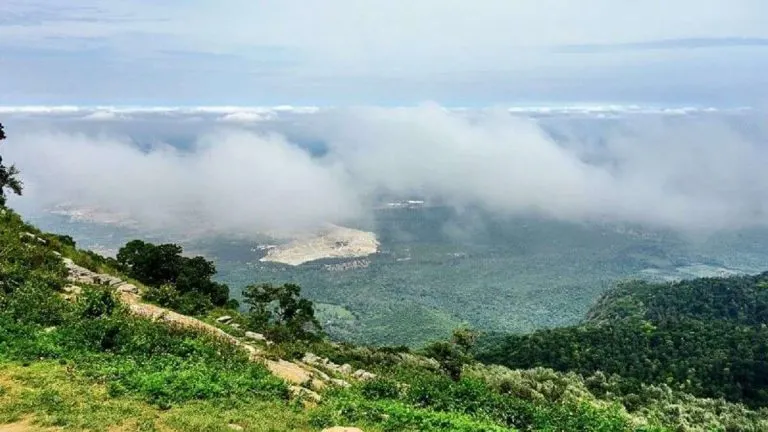 The India
