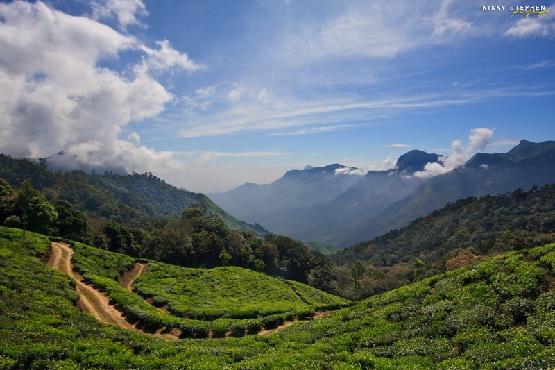 Munnar Hill Station