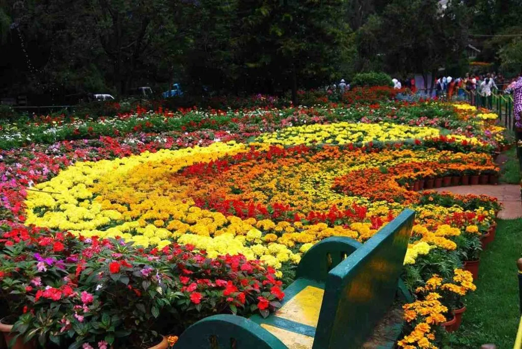 Ooty-Flower-Show-2025-at-Botanical-Garden