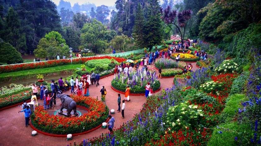 Ooty Flower Show 2025