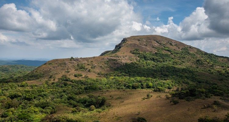 Kotebetta-Trek-in-Coorg Kotebetta Peak Coorg