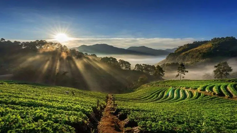 Tourist-Places-to-Visit-in-Coorg