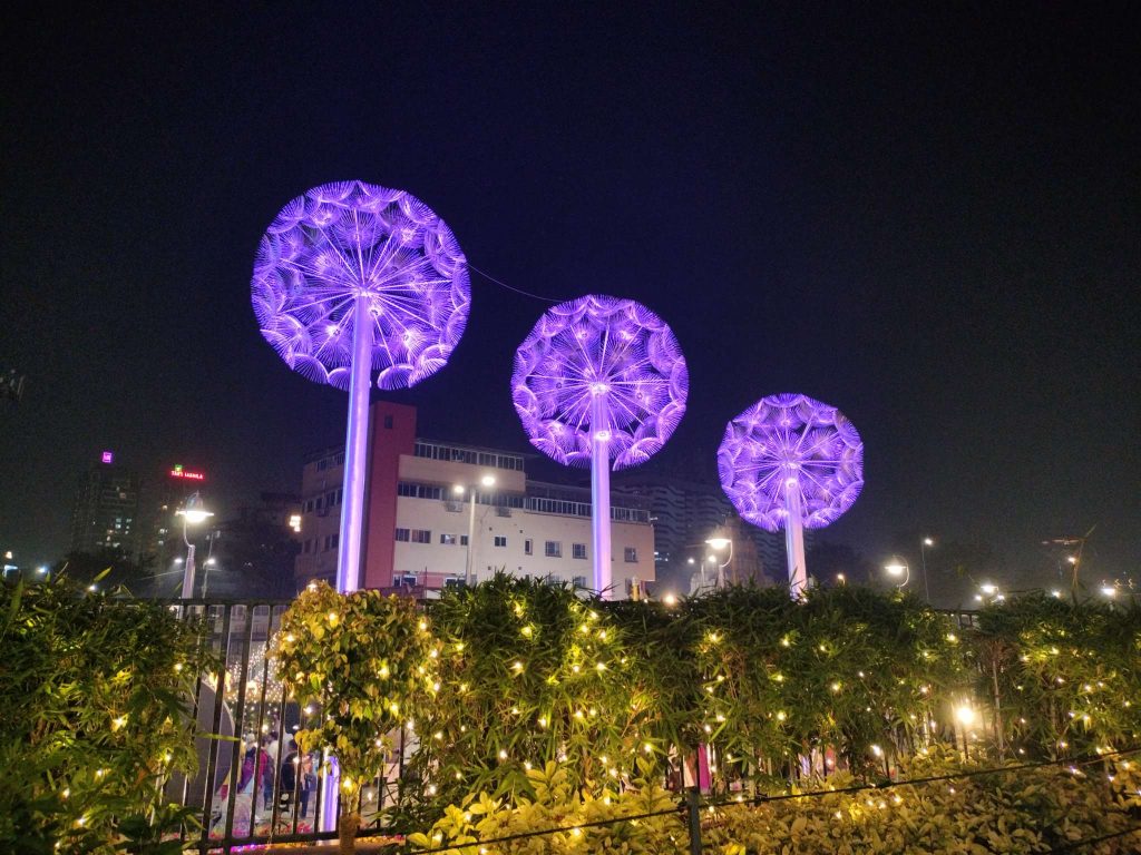 Ahmedabad Flower Show