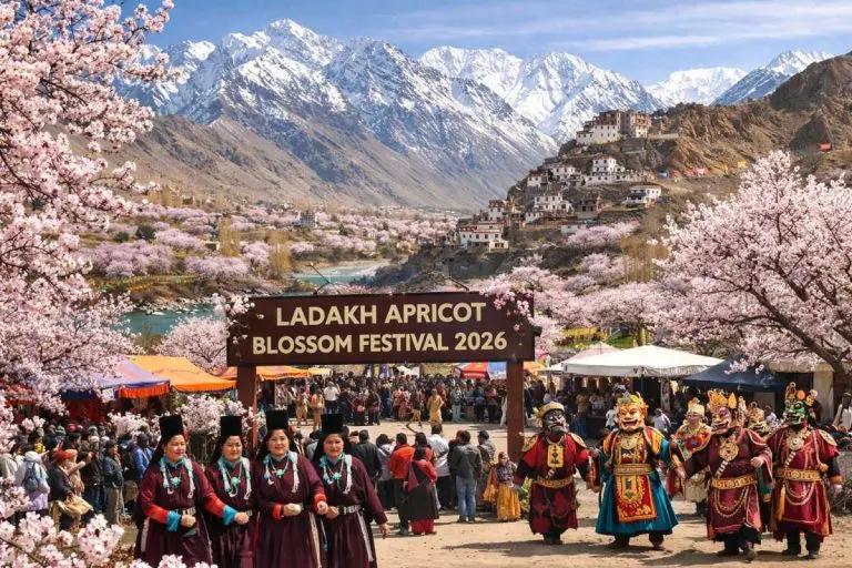 apricot-blossom-festival